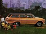 Chevrolet Veraneio 1973 года